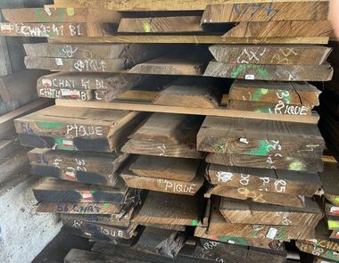 CHATAIGNIER DESTOCKAGE PAS CHER CHENE