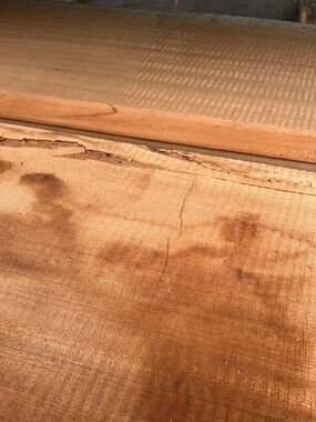 PAS CHER SIPO SAPELLI MOABI PLOT EXOTIQUE