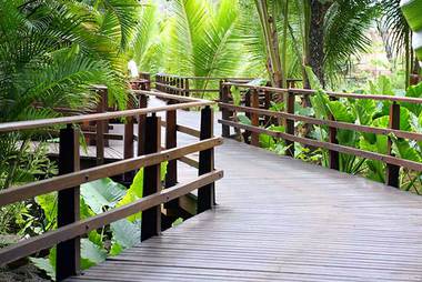 PONT-SUR-MANGROVE-Fotolia_22007291_M